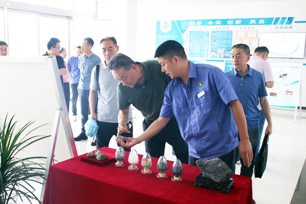 二二四大隊(duì)有限公司外部董事一行到公司參觀調(diào)研